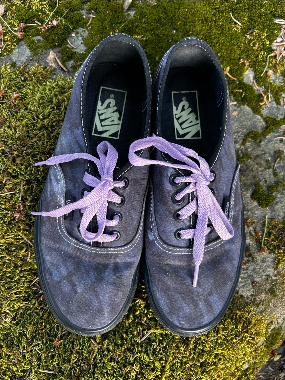 Vans Low Top Sneakers in Charcoal with Lilac Laces